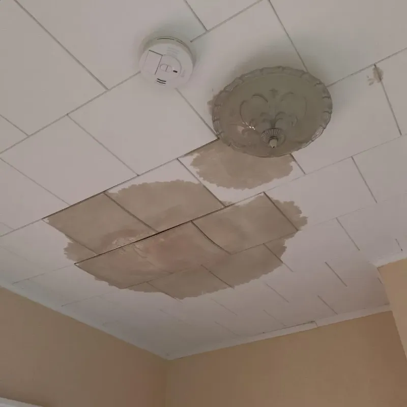 Ceiling Water Damage Repair in Lubbock County, TX