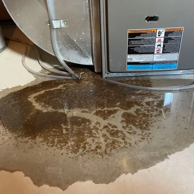 Pipe Burst and Leak Restoration in Lubbock County, TX