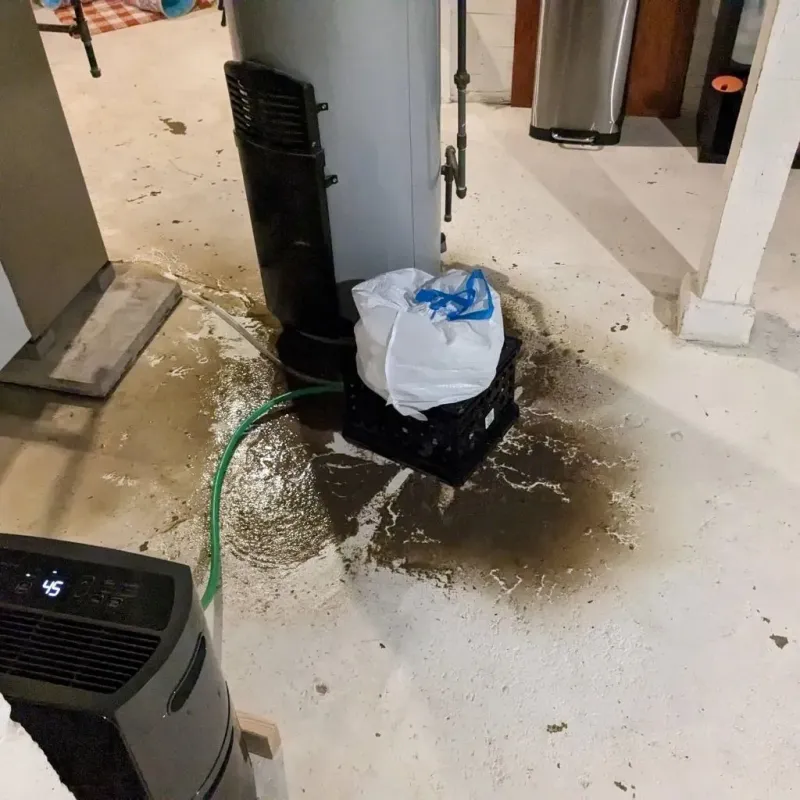 Sewage Backup Cleanup Service in Lubbock County, TX